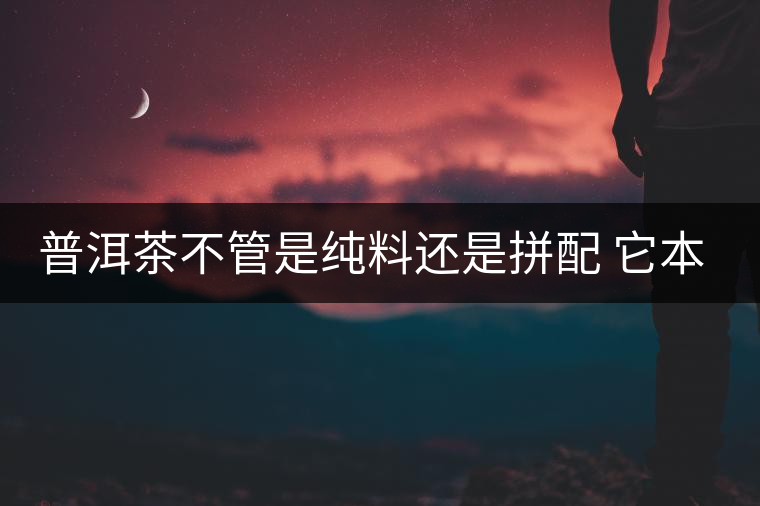 普洱茶不管是純料還是拼配 它本身就很有意思 普洱茶不管是純料還是拼配 它本身就很有意思