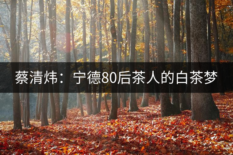 蔡清煒：寧德80后茶人的白茶夢