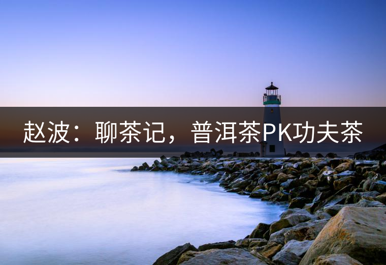 趙波：聊茶記，普洱茶PK功夫茶