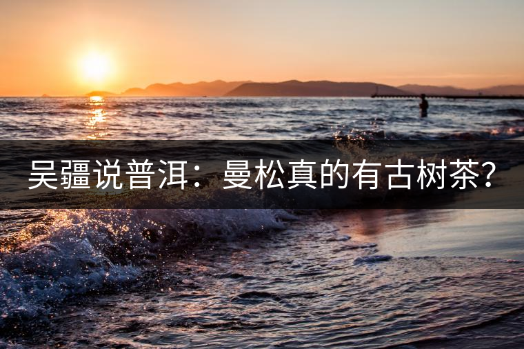 吳疆說(shuō)普洱：曼松真的有古樹(shù)茶？