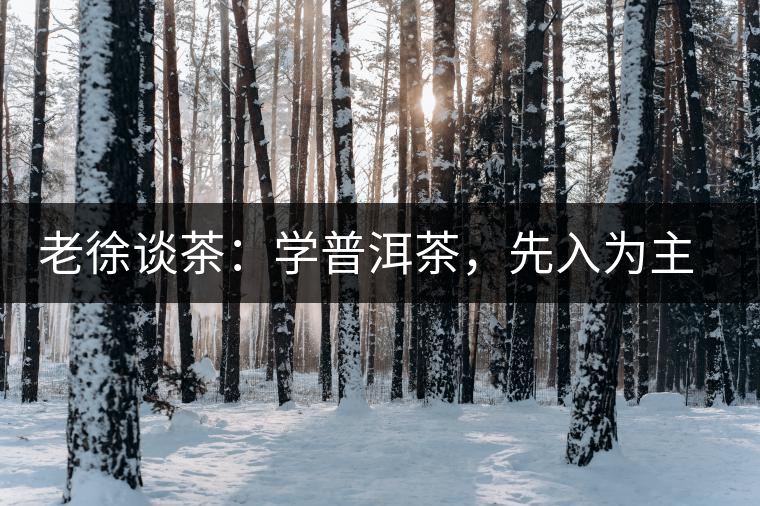 老徐談茶：學(xué)普洱茶，先入為主易被打臉，還得實(shí)踐出真知！