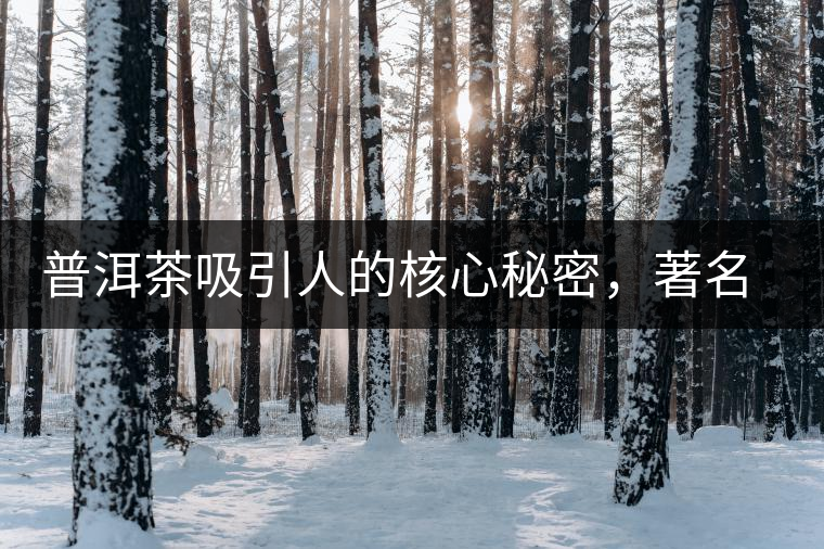 普洱茶吸引人的核心秘密，著名作家余秋雨先生三句話就告訴你