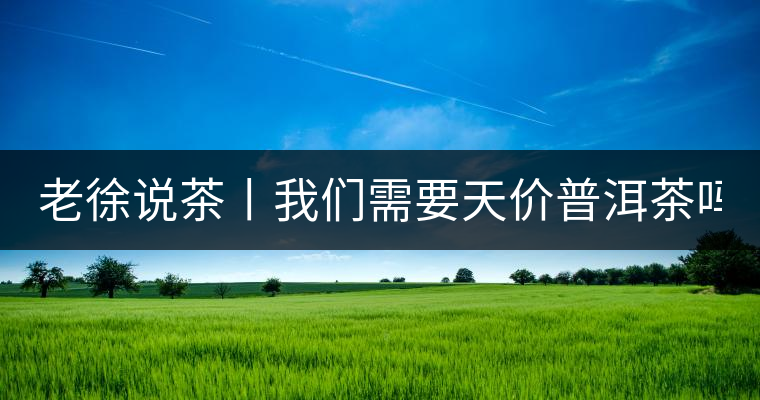 老徐說茶丨我們需要天價普洱茶嗎？