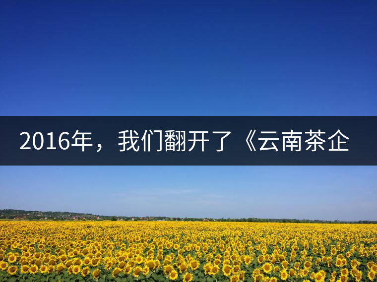 2016年，我們翻開了《云南茶企發(fā)展白皮書》