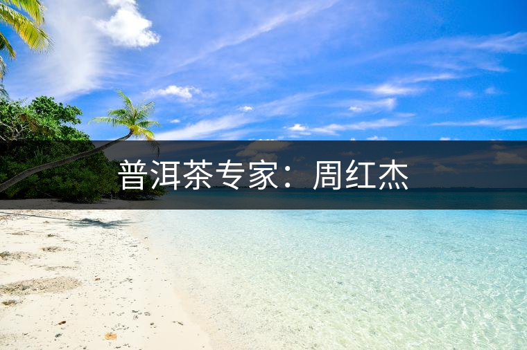 普洱茶專(zhuān)家:周紅杰 普洱茶專(zhuān)家:周紅杰