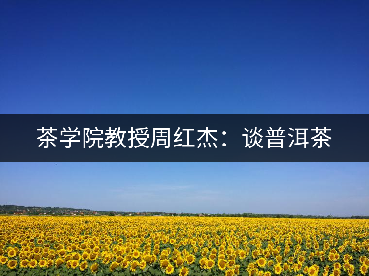 茶學院教授周紅杰：談普洱茶