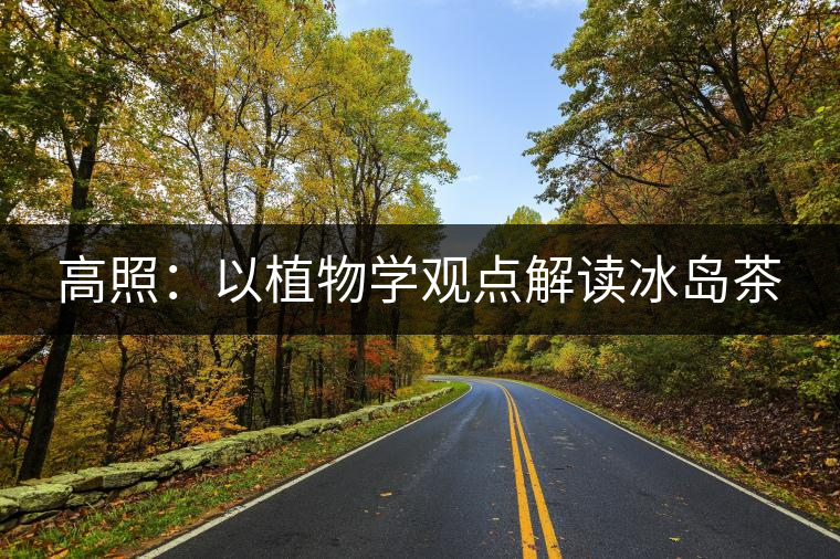 高照:以植物學(xué)觀點解讀冰島茶 高照:以植物學(xué)觀點解讀冰島茶