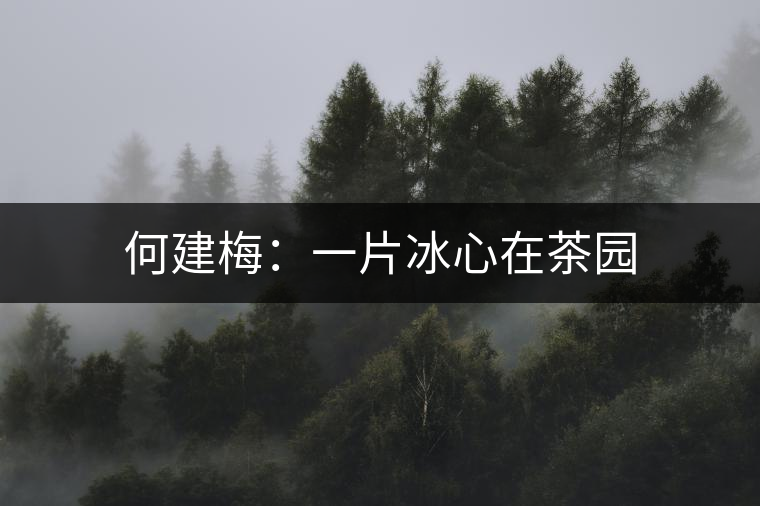 何建梅:一片冰心在茶園 何建梅:一片冰心在茶園