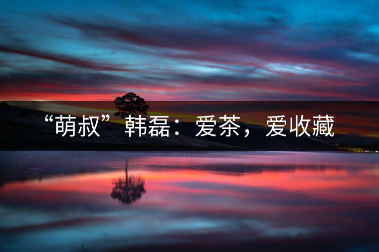 “萌叔”韓磊：愛茶，愛收藏