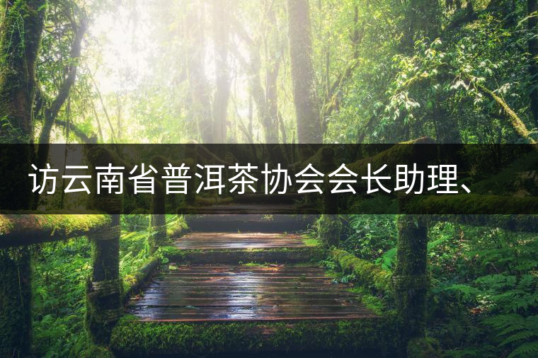 訪云南省普洱茶協(xié)會(huì)會(huì)長(zhǎng)助理、副秘書長(zhǎng)、茶界名人張明春