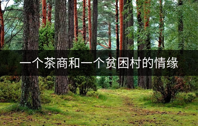 一個(gè)茶商和一個(gè)貧困村的情緣
