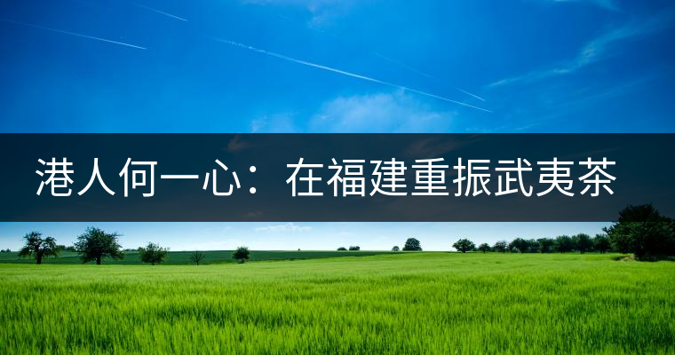 港人何一心:在福建重振武夷茶 創(chuàng)武夷星茶品牌 港人何一心:在福建重振武夷茶 創(chuàng)武夷星茶品牌