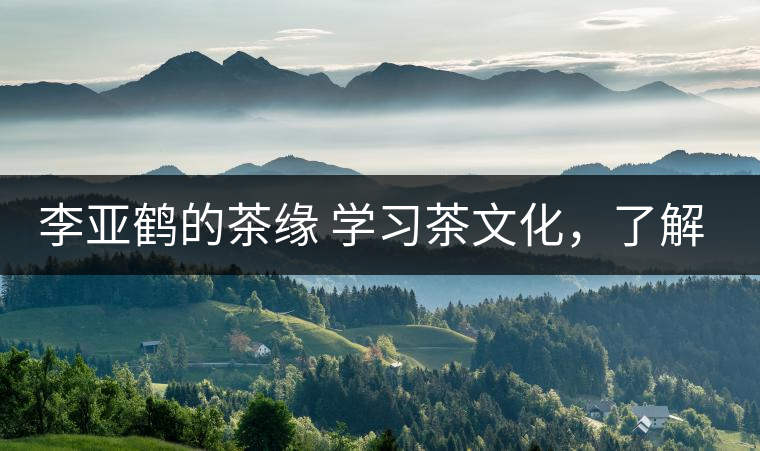 李亞鶴的茶緣 學(xué)習(xí)茶文化，了解茶文化，品味茶文化
