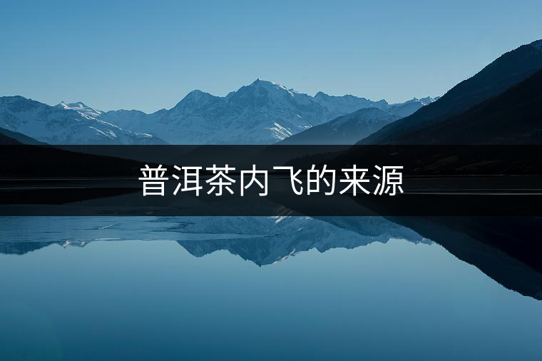 普洱茶內(nèi)飛的來源
