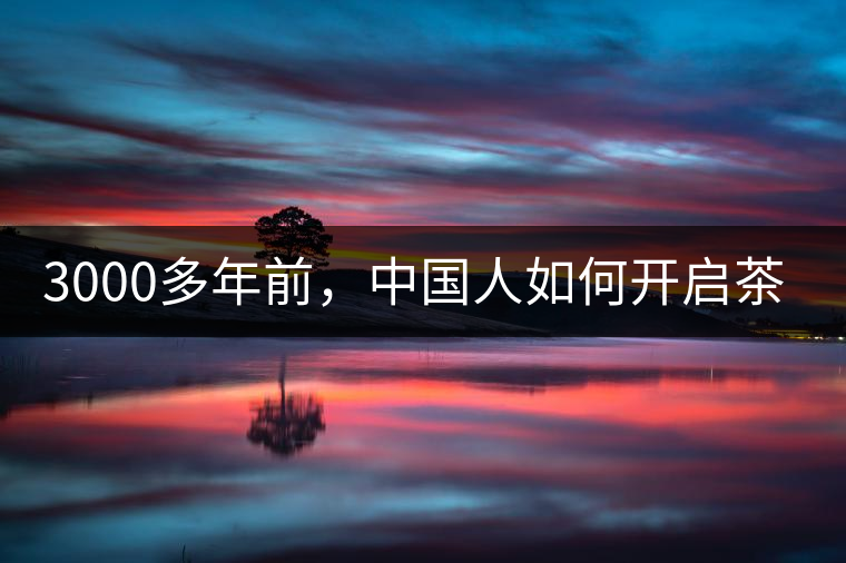 3000多年前，中國人如何開啟茶生活？