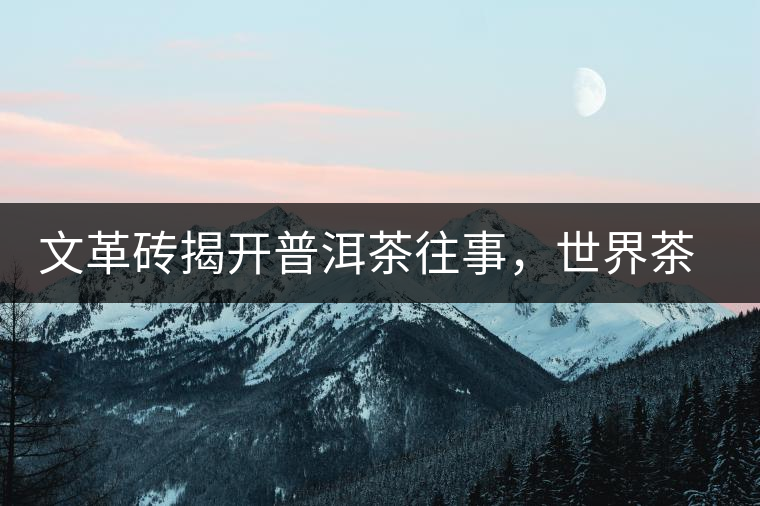 文革磚揭開普洱茶往事，世界茶文化交流協(xié)會成員共品經(jīng)典文革磚！