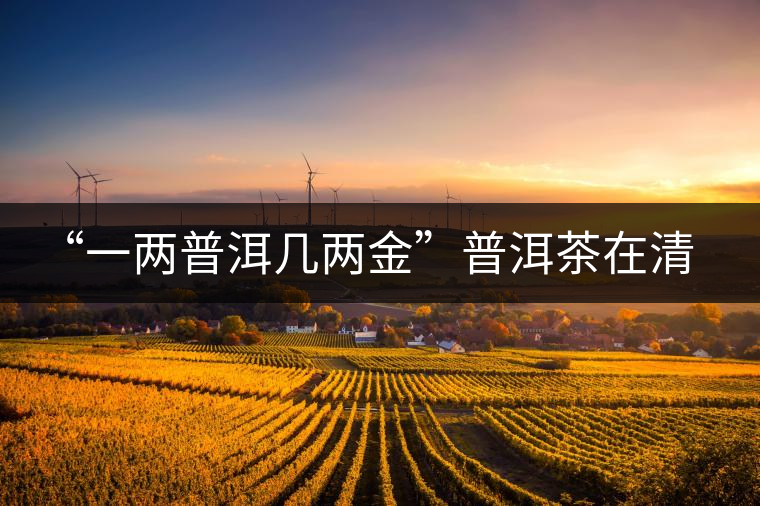 “一兩普洱幾兩金”普洱茶在清代為啥這么火？！