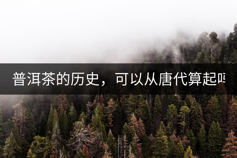 普洱茶的歷史，可以從唐代算起嗎？