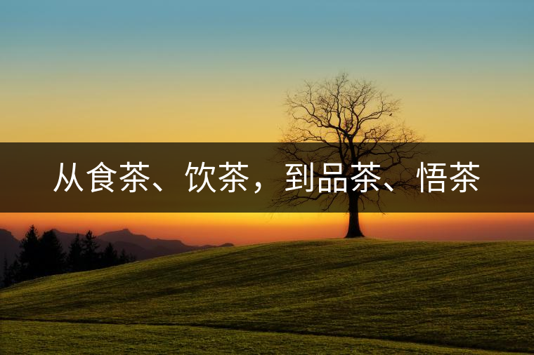 從食茶、飲茶，到品茶、悟茶