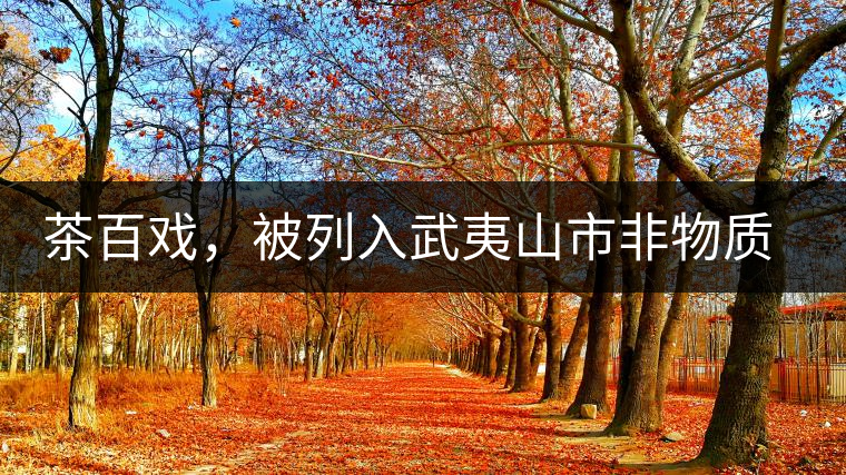 茶百戲，被列入武夷山市非物質文化遺產(chǎn)的茶湯