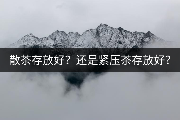 散茶存放好？還是緊壓茶存放好？