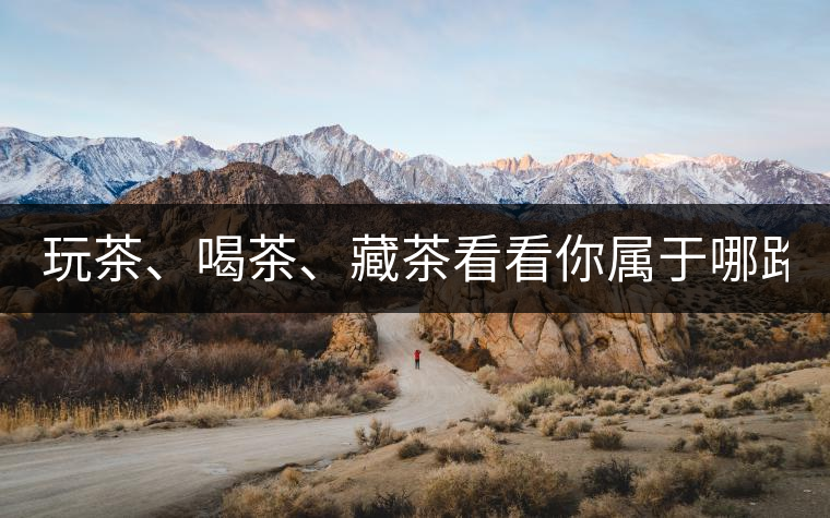 玩茶、喝茶、藏茶看看你屬于哪路茶神！