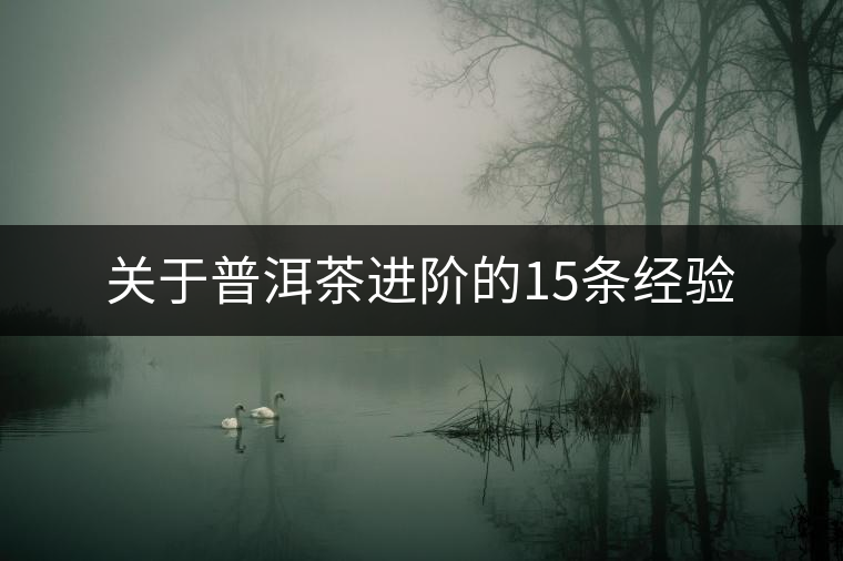 關于普洱茶進階的15條經驗