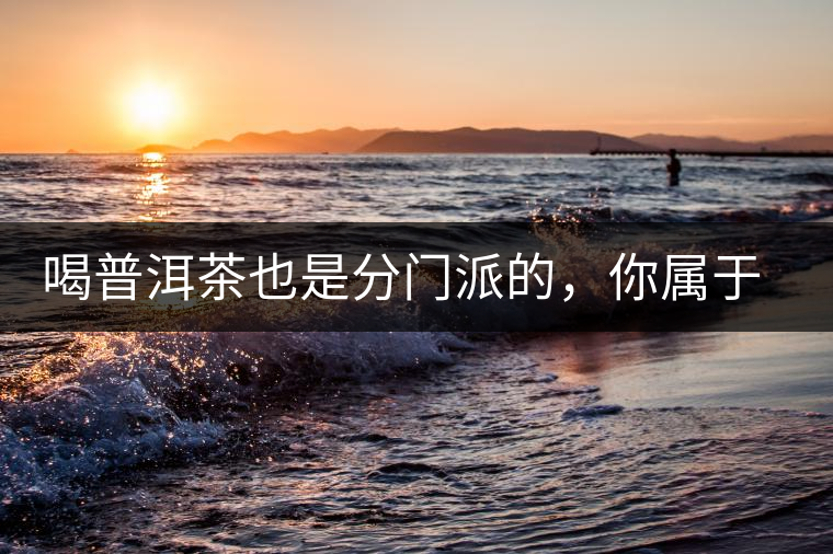 喝普洱茶也是分門派的，你屬于哪派呢？