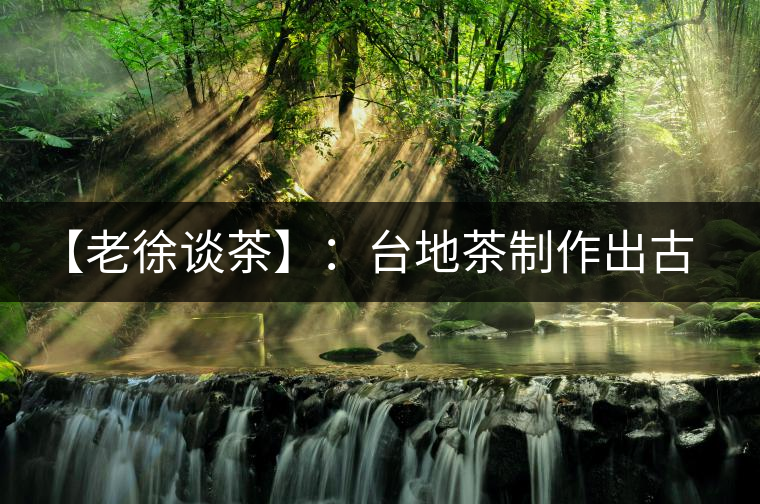 【老徐談茶】：臺地茶制作出古樹茶口感？只需一招，輕松騙過你 ?