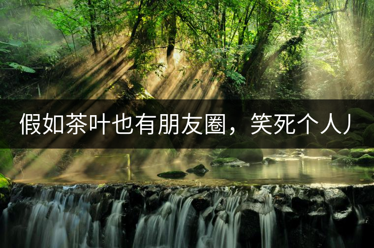 假如茶葉也有朋友圈，笑死個人兒...