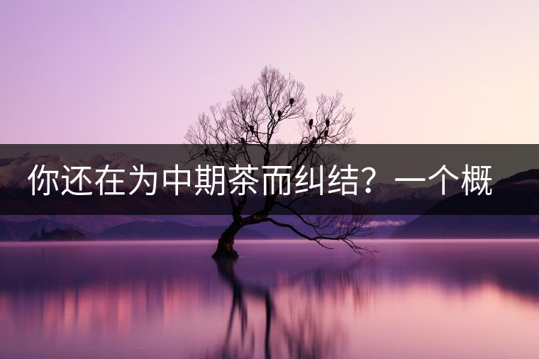 你還在為中期茶而糾結(jié)？一個概念罷了