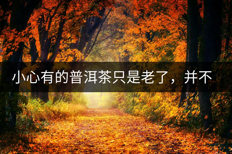 小心有的普洱茶只是老了，并不是好了