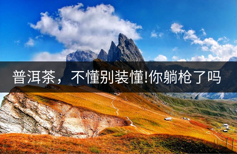 普洱茶，不懂別裝懂!你躺槍了嗎?