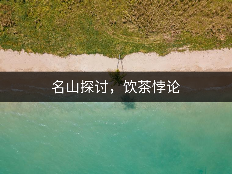 名山探討，飲茶悖論