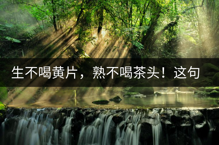 生不喝黃片，熟不喝茶頭！這句話你了解多少？
