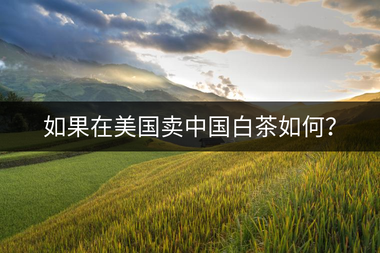 如果在美國(guó)賣(mài)中國(guó)白茶如何？