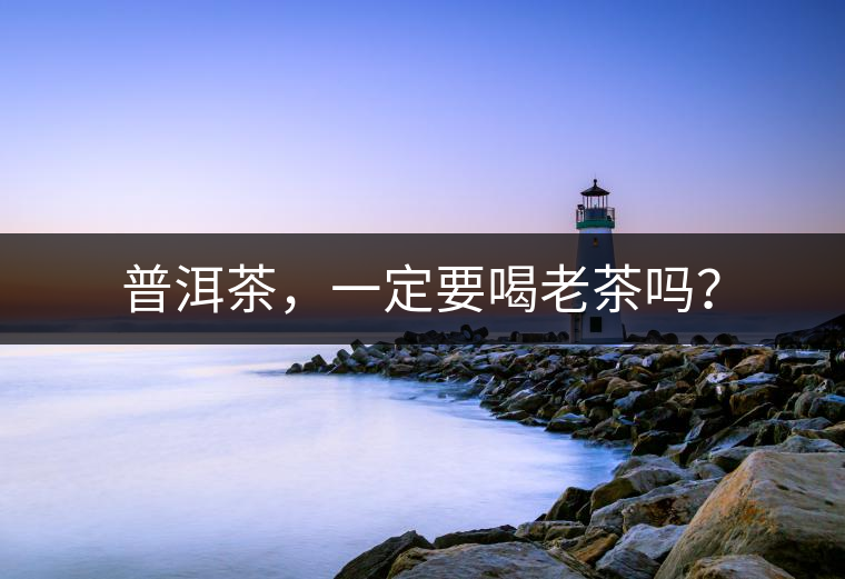 普洱茶，一定要喝老茶嗎？