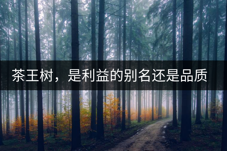 茶王樹，是利益的別名還是品質(zhì)的象征？