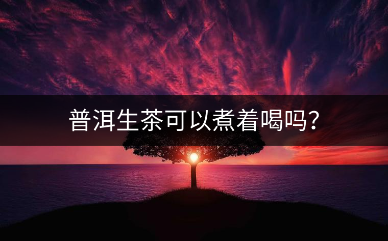 普洱生茶可以煮著喝嗎？