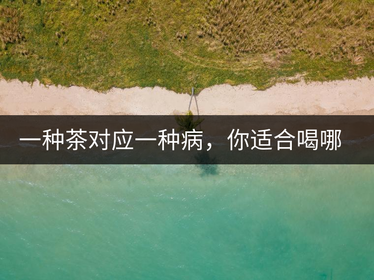 一種茶對(duì)應(yīng)一種病，你適合喝哪一種呢？