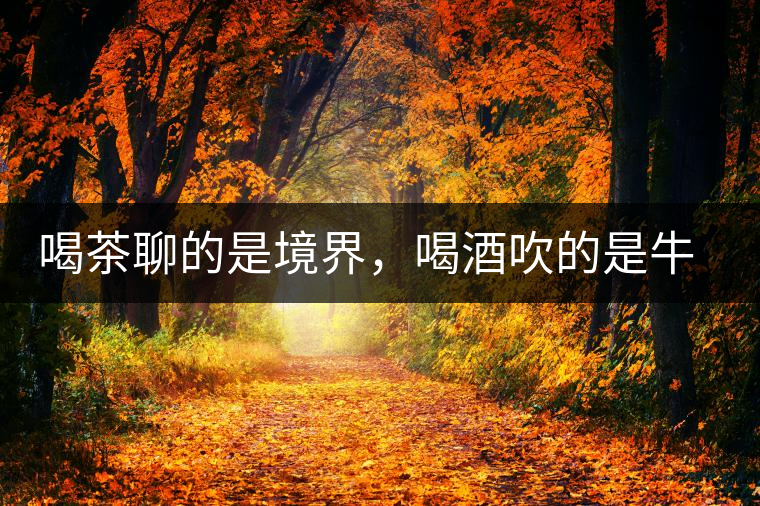 喝茶聊的是境界，喝酒吹的是牛皮