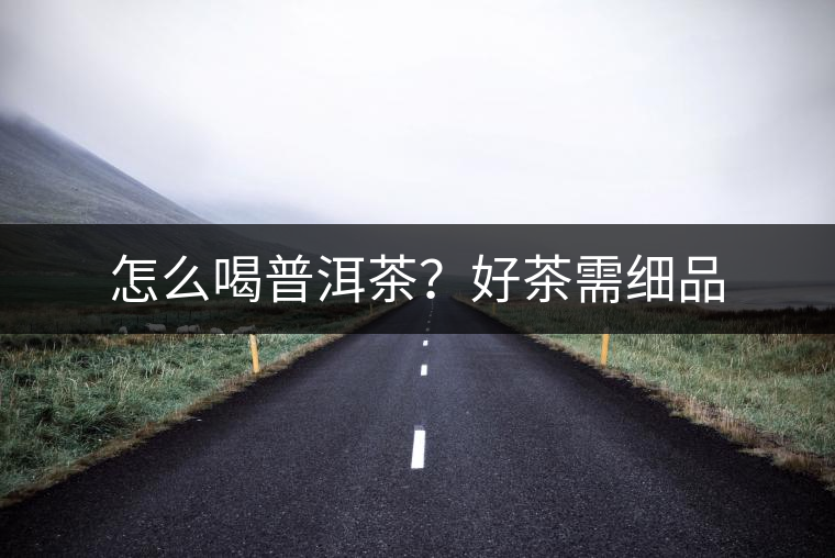 怎么喝普洱茶？好茶需細(xì)品