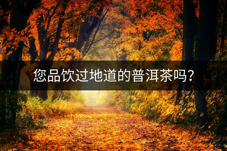 您品飲過地道的普洱茶嗎？