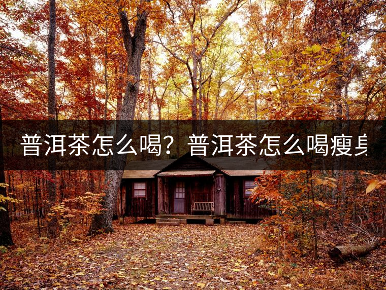 普洱茶怎么喝？普洱茶怎么喝瘦身？