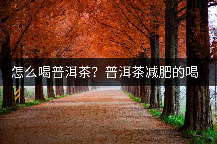 怎么喝普洱茶？普洱茶減肥的喝法