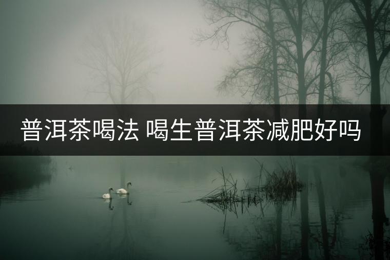 普洱茶喝法 喝生普洱茶減肥好嗎？