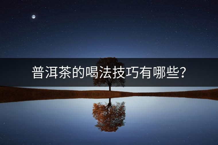 普洱茶的喝法技巧有哪些？
