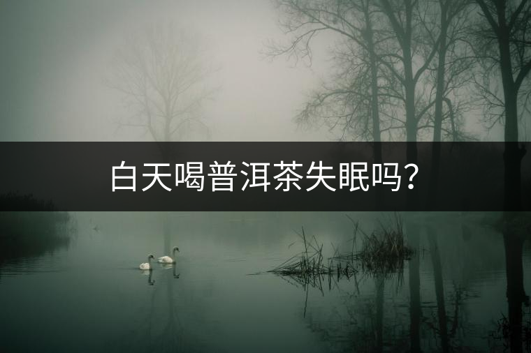 白天喝普洱茶失眠嗎？