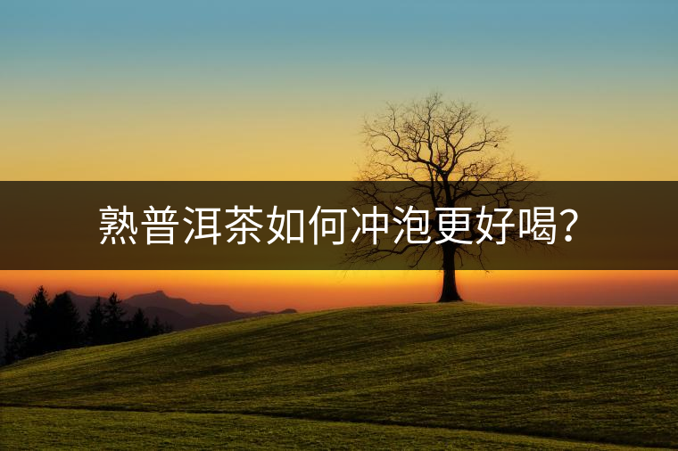 熟普洱茶如何沖泡更好喝？
