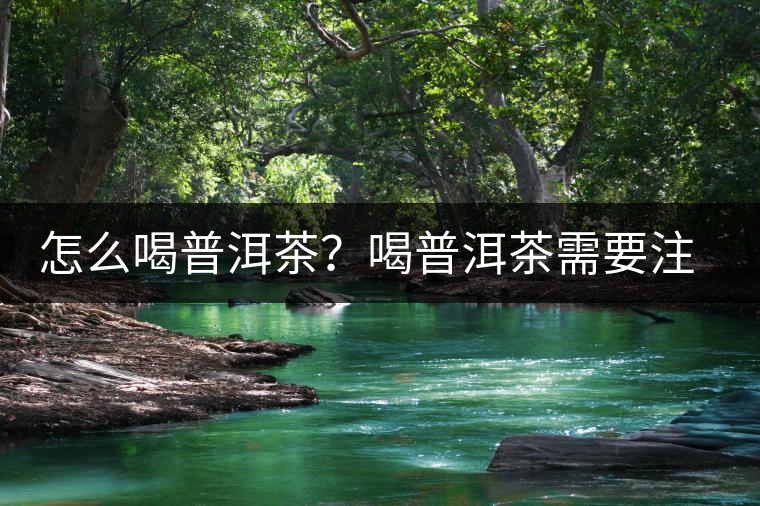 怎么喝普洱茶？喝普洱茶需要注意的要點(diǎn)